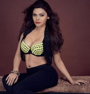 Sherlyn Chopra Nudes_62.jpg